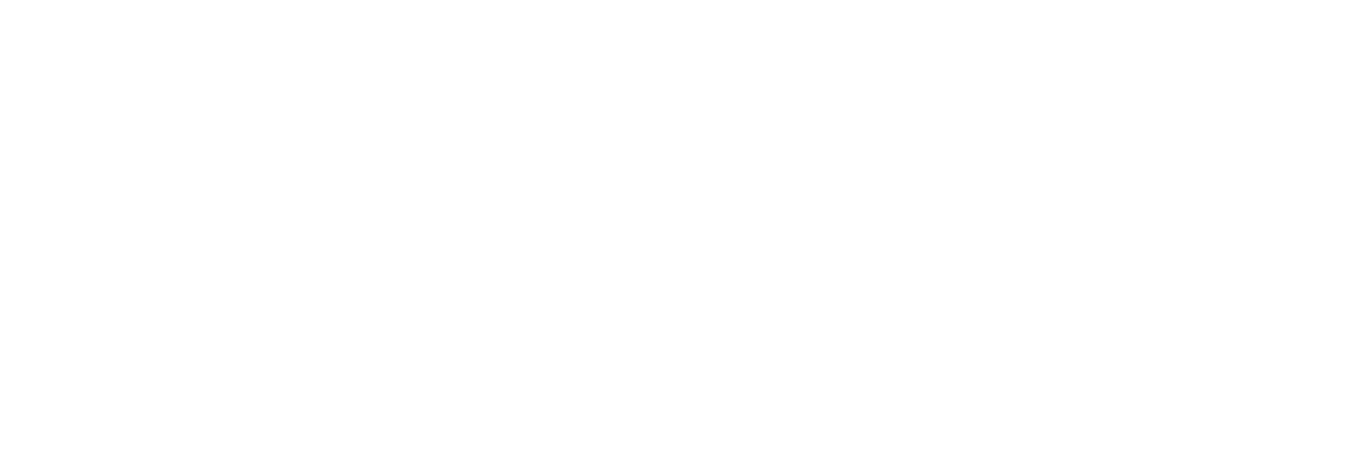 FS RTU